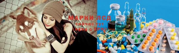 ПСИЛОЦИБИНОВЫЕ ГРИБЫ Бородино
