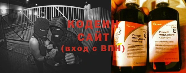 ПСИЛОЦИБИНОВЫЕ ГРИБЫ Бородино