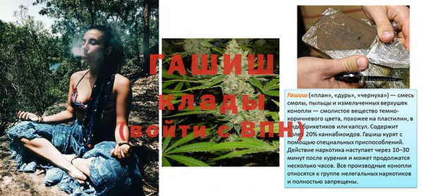 ПСИЛОЦИБИНОВЫЕ ГРИБЫ Бородино