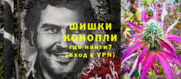 ПСИЛОЦИБИНОВЫЕ ГРИБЫ Бородино