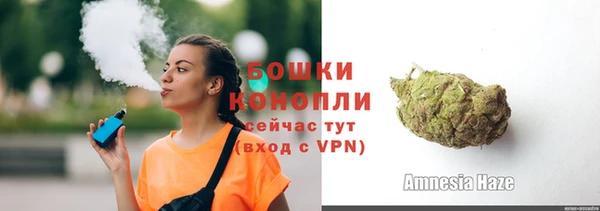 ПСИЛОЦИБИНОВЫЕ ГРИБЫ Бородино