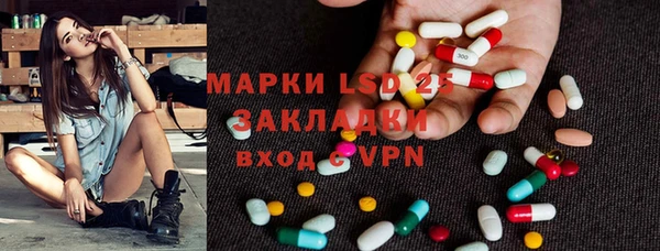 ПСИЛОЦИБИНОВЫЕ ГРИБЫ Бородино
