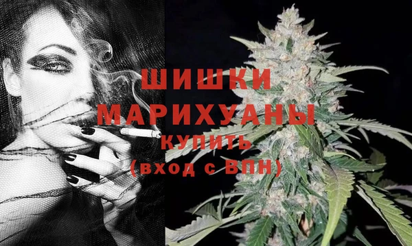 ПСИЛОЦИБИНОВЫЕ ГРИБЫ Бородино