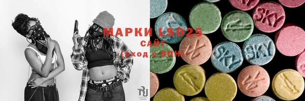 ПСИЛОЦИБИНОВЫЕ ГРИБЫ Бородино