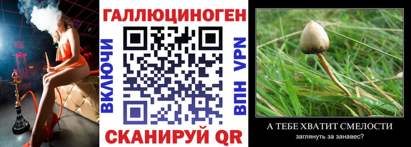 Купить где  Пионерский  Псилоцибиновые грибы Cubensis 